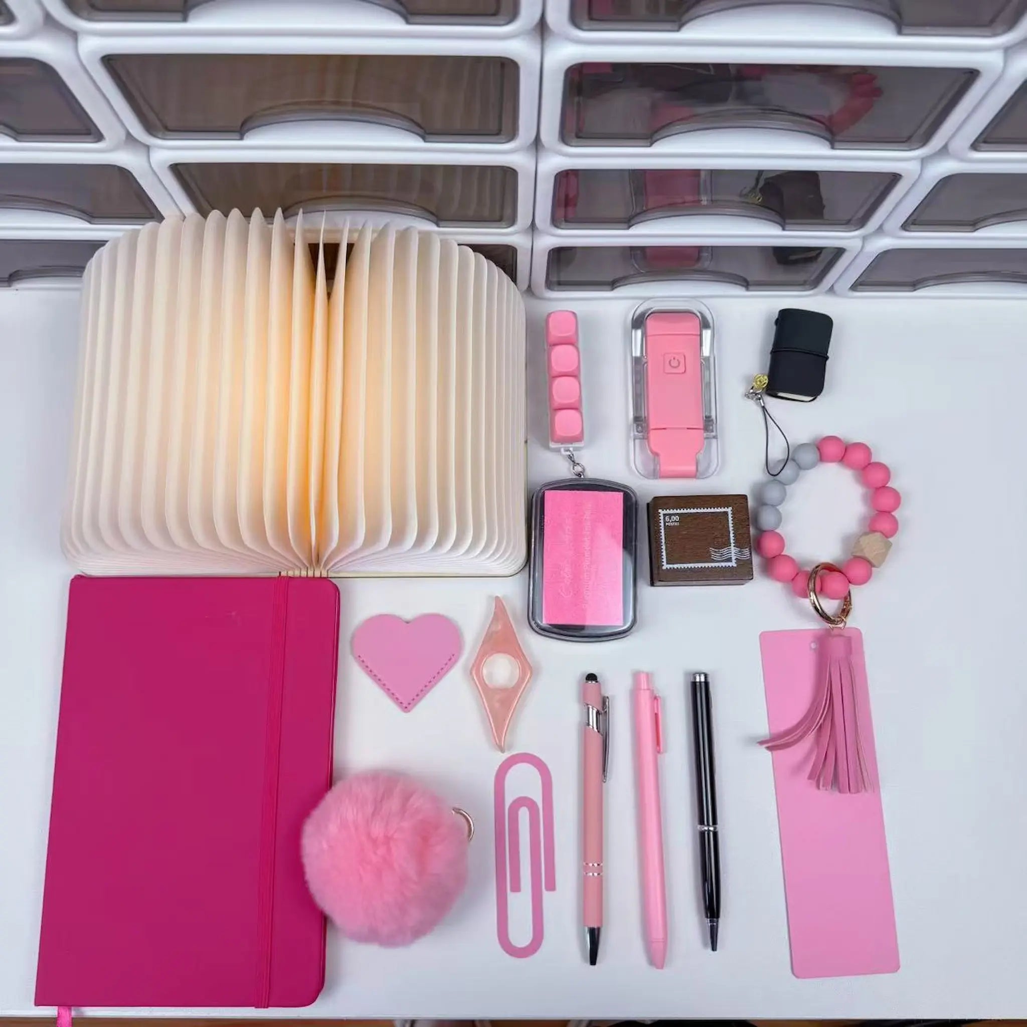 PINK 🩷 Bookish Bundle